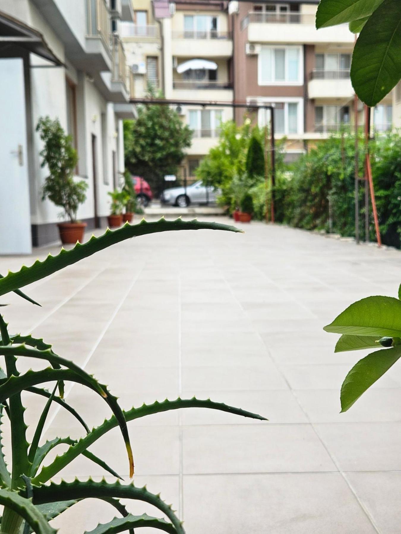 Guest House Petrovi Ravda Dış mekan fotoğraf